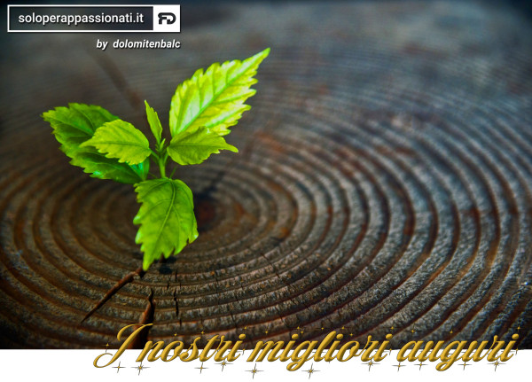 I NOSTRI MIGLIORI AUGURI